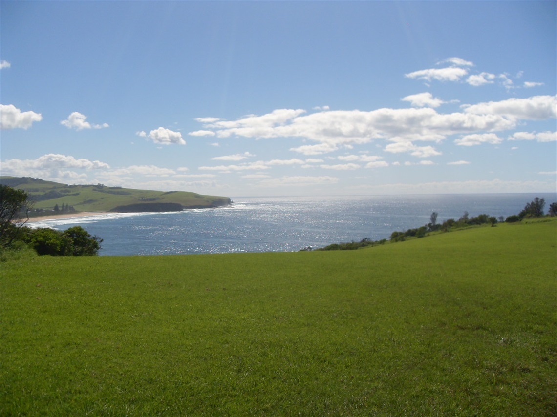 Gerringong Headland Dog Off leash.JPG