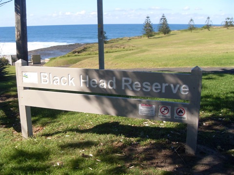 Black Head Reserve.JPG