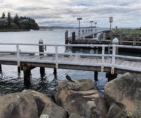 Kiama Harbour jetty - Claire Doble