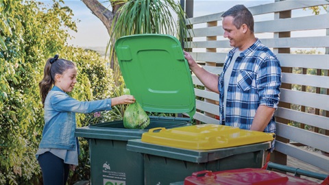 Green bin being used