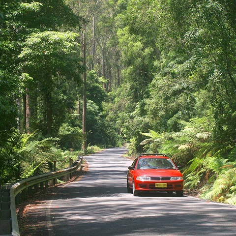 JAMBEROO-MOUNTAIN-ROAD-traffic-tourism.jpg