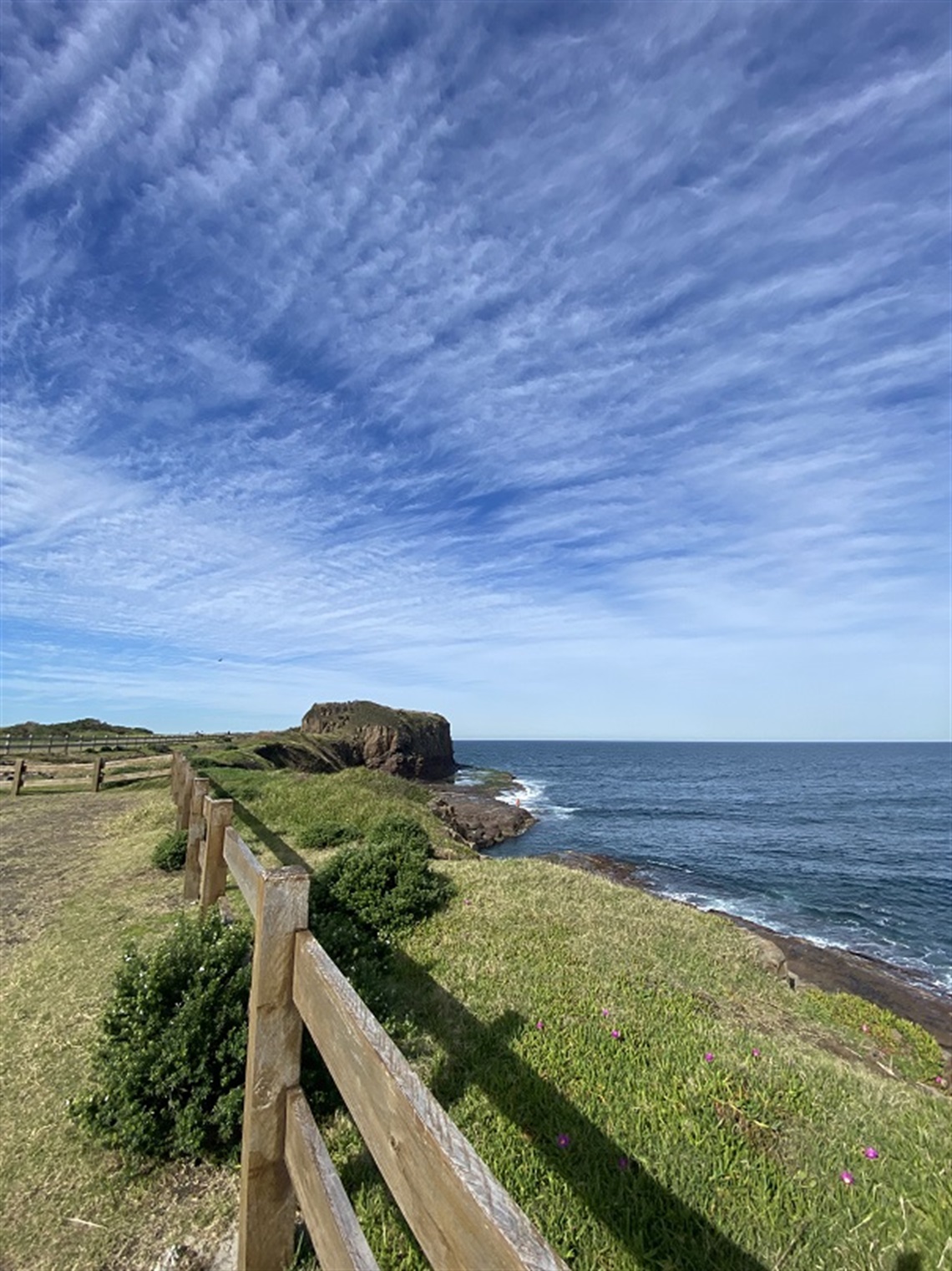 Bombo Headland Reserve